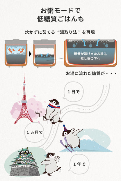 健康調理 炊飯器 ていとうシェフ r2250