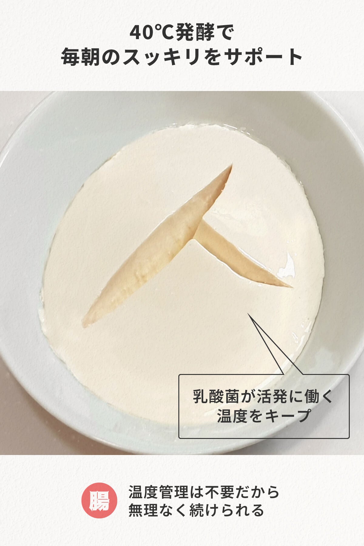 健康調理 炊飯器 ていとうシェフ r2250